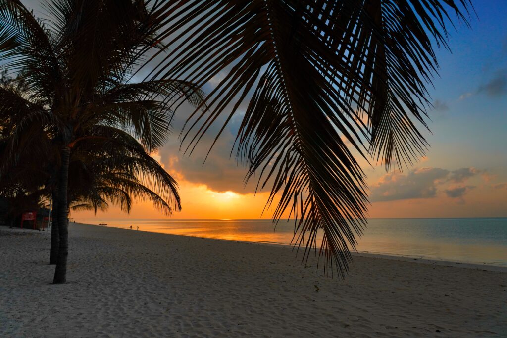 A golden sunset over the Indian Ocean, framed by palm tree silhouettes on the white sand beach of Watamu, Kenya.