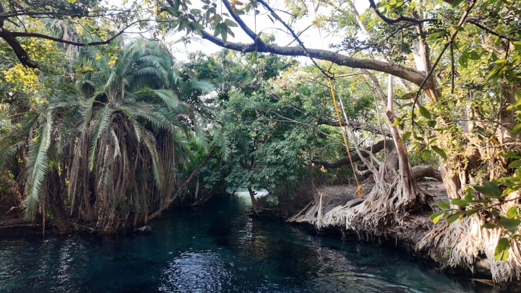 Rope swing hanging over the blue pool at Chemka Hot Springs near Moshi