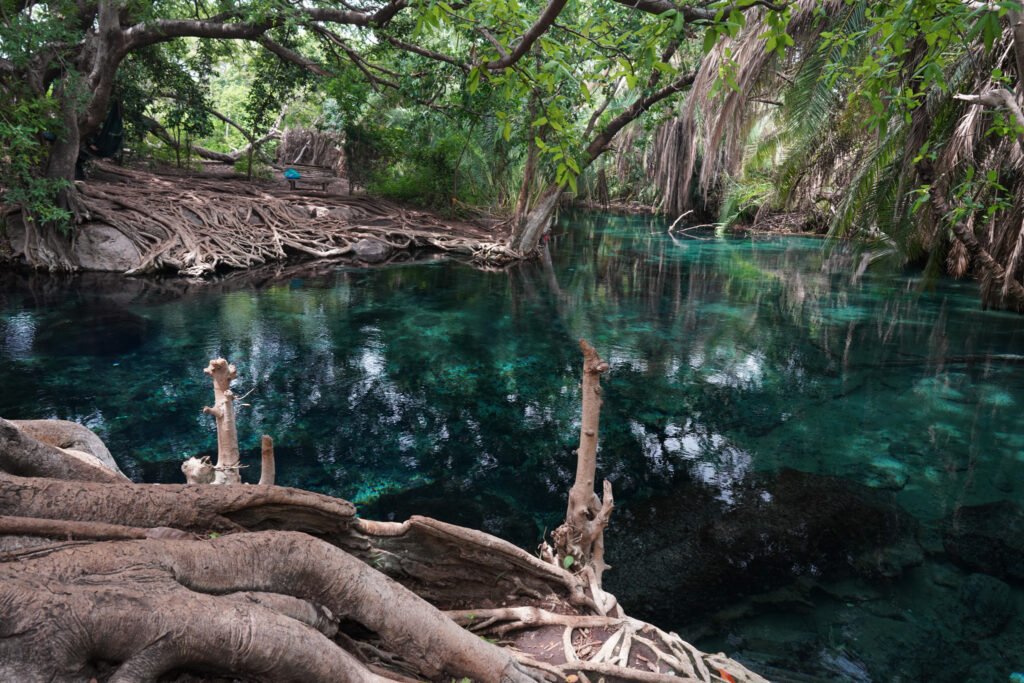 View of Chemka Hot Springs Tanzania showing clear water and rocky bottom
