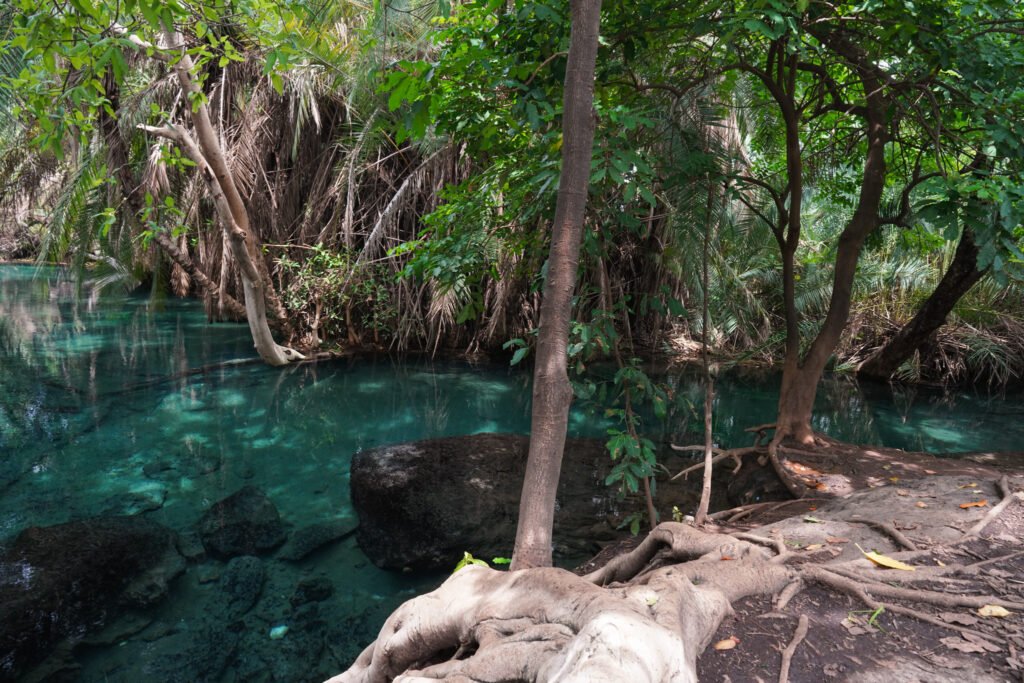 Crystal clear turquoise water at Chemka Hot Springs with visible rocky bottom, Tanzania