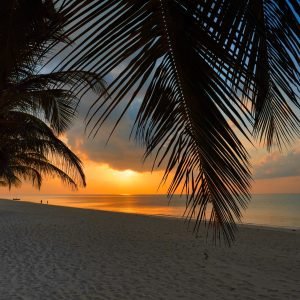 A golden sunset over the Indian Ocean, framed by palm tree silhouettes on the white sand beach of Watamu, Kenya.